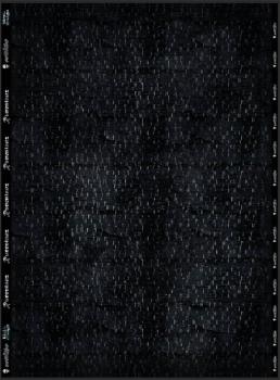 Runentanz - Jersey - Meterware